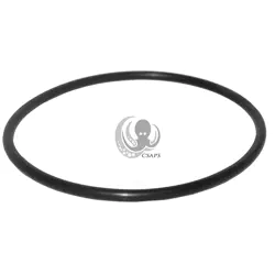 Basket Lid O-Ring for Carvin Sharkwave Pump