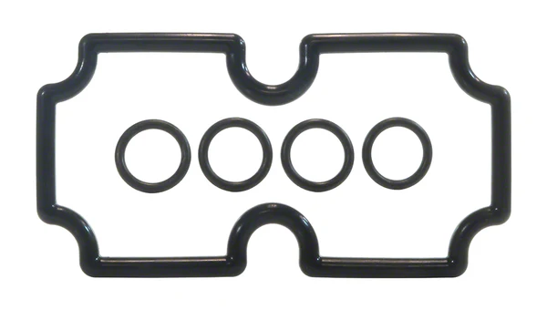 Kit de joints toriques (O-Ring) Kit Mt125 Pentair