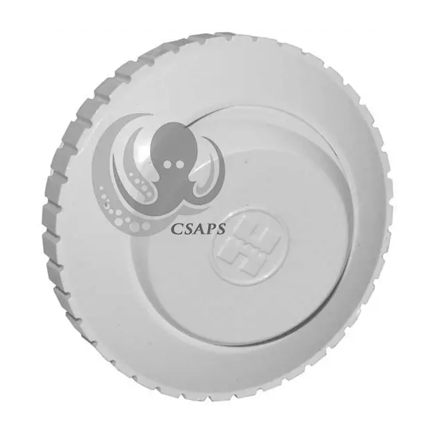 Hayward 3/4" Directional Water Jet, White