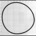 Joint torique de volute de pompe Aqua Flo