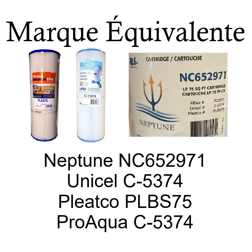 FC-2971,NC652971, C-5374, PLBS75 - Filtre pour spa