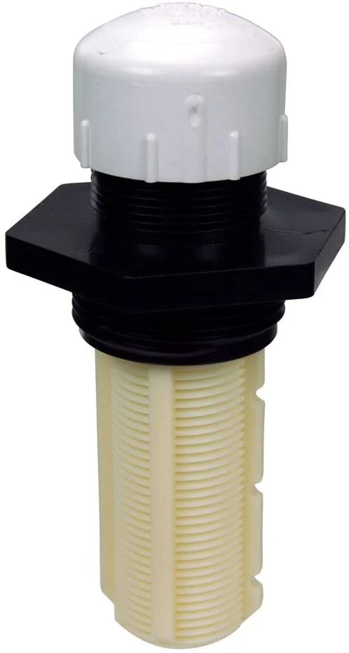 Tagelus / Triton C3, 2" Sand Drain