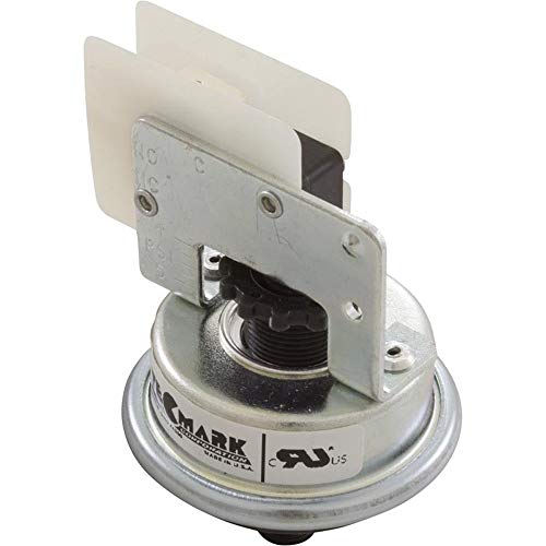 Pressure Switch 3029 Plastic 1/8'' MPT Connection