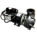 pompe spa PUMP - XP3, 4HP, 240V, 60HZ, 2 SPEED Bullfrog