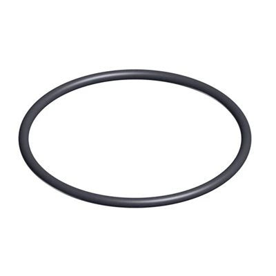 O'ring pour tuyau de sortie Hayward SwimClear