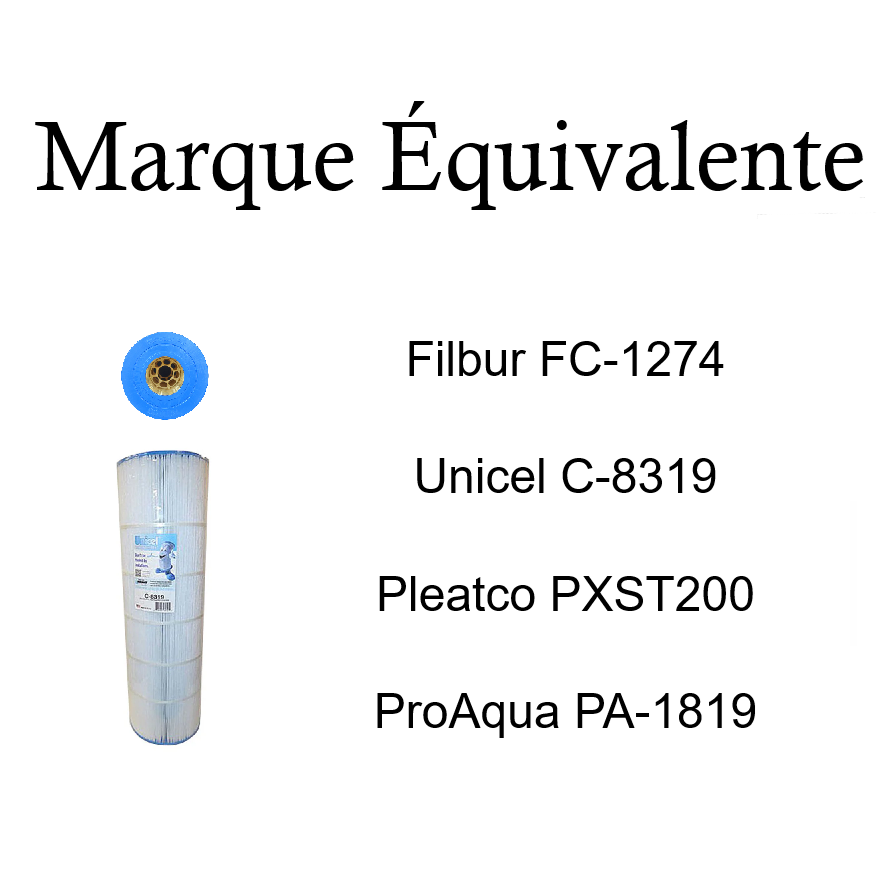 CCX2000RE - Cartouche de filtreur de Piscine Hayward