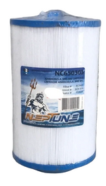 NC650303, filtre Neptune pour spa