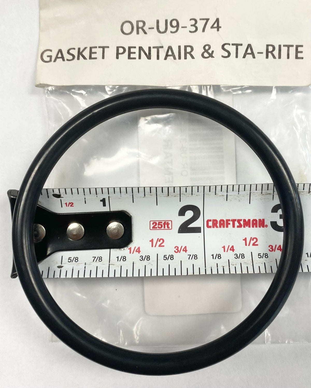 Gasket Pentair & Sta-Rite