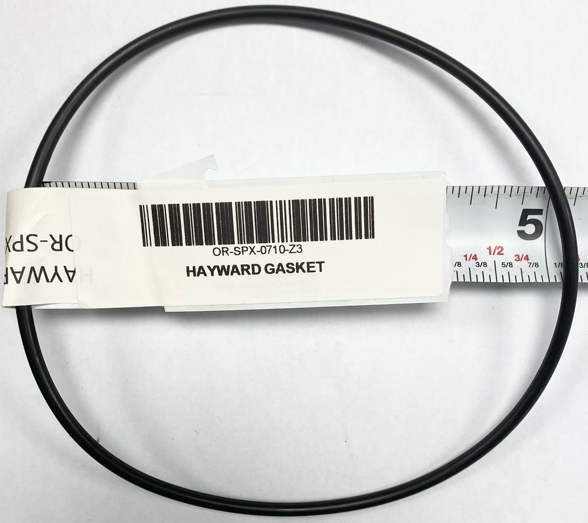 Hayward Gasket