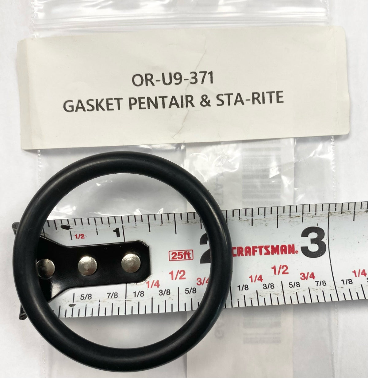 Gasket Pentair &amp; Stas-Rite